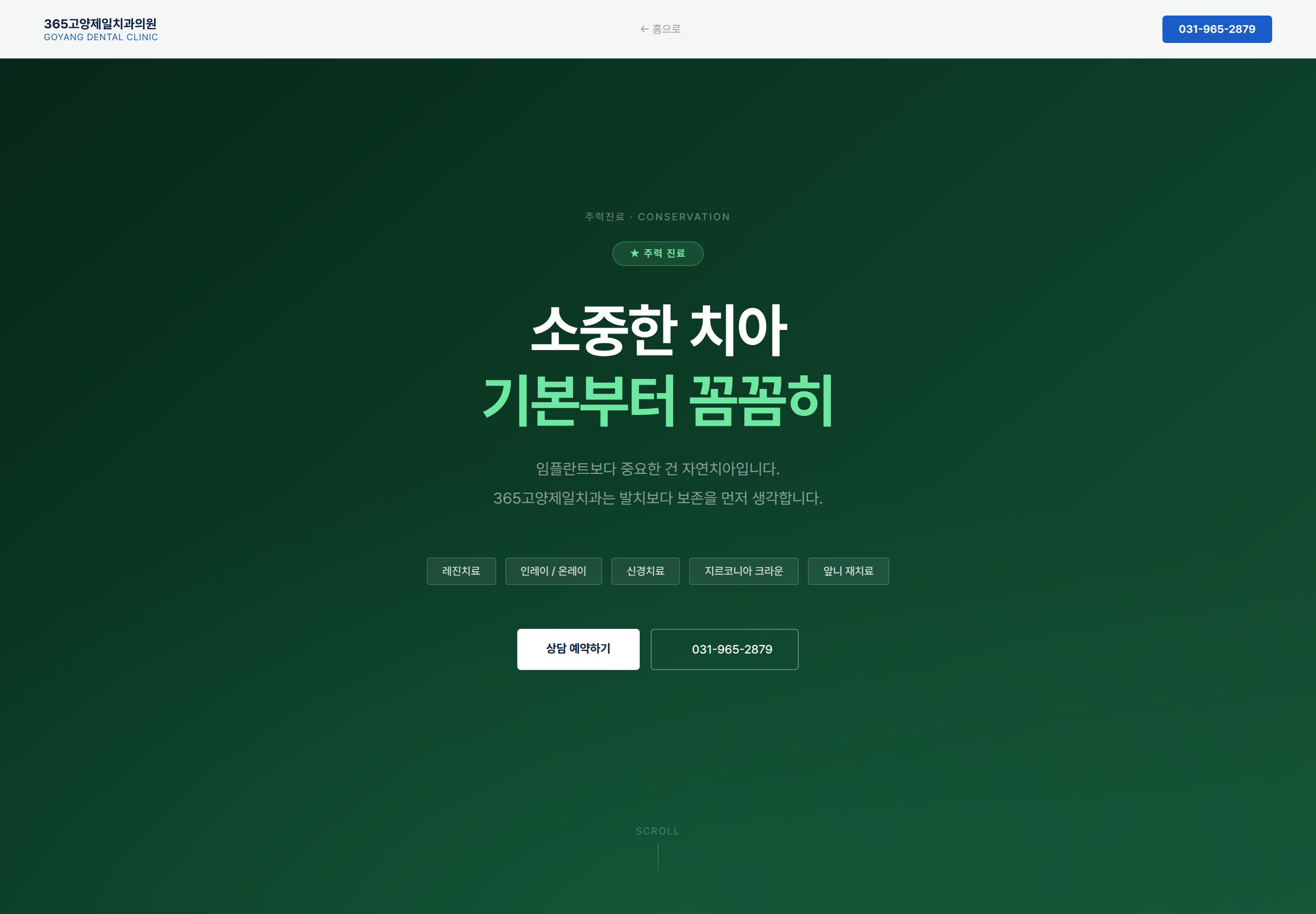 365고양제일치과 기획안 · 디자인 시안